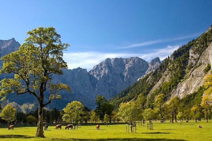 Appartamento Alpenfreund Mittenwald Esterno foto