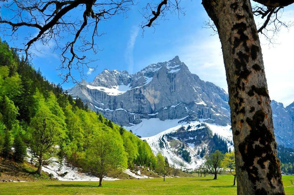 Appartamento Alpenfreund Mittenwald Esterno foto