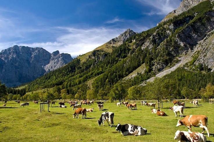 Appartamento Alpenfreund Mittenwald Esterno foto