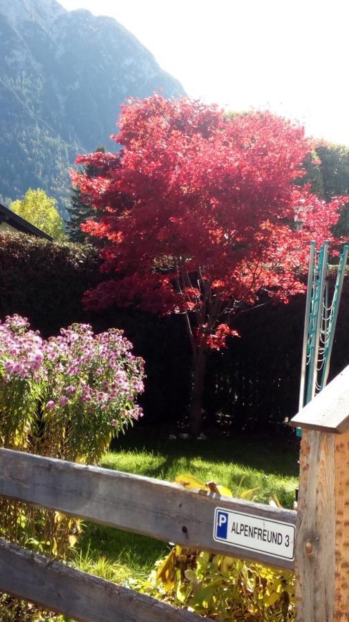 Appartamento Alpenfreund Mittenwald Esterno foto